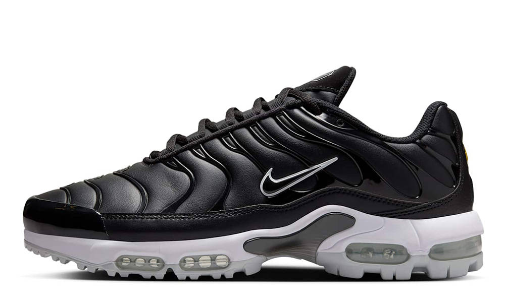 Nike TN Air Max Plus Black Leather FZ4150-001