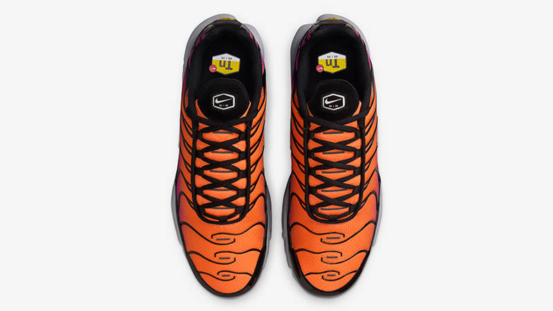 Nike TN Air Max Plus Desert Sunset DM0032-014 Top