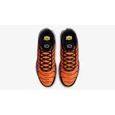 Nike TN Air Max Plus Desert Sunset DM0032-014 Top