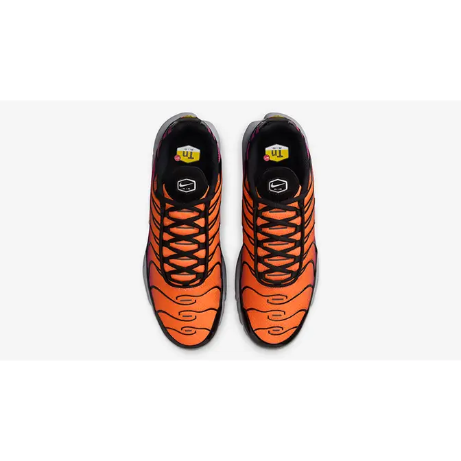 Nike TN Air Max Plus Desert Sunset DM0032-014 Top