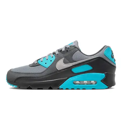 Nike Air Max 90 Cool Grey Dusty Cactus DM0029-013
