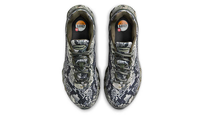 Nike Air Max Dn8 Snakeskin HV8476-300 Top