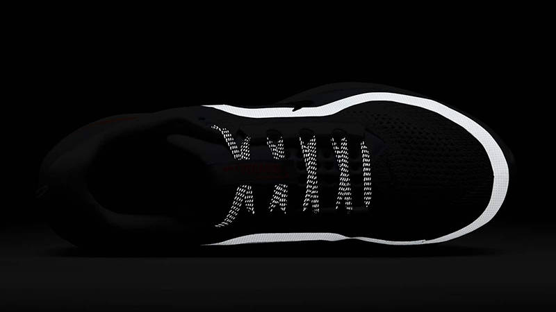 Nike Pegasus Premium Football Grey Womens HQ2593-001 in dark