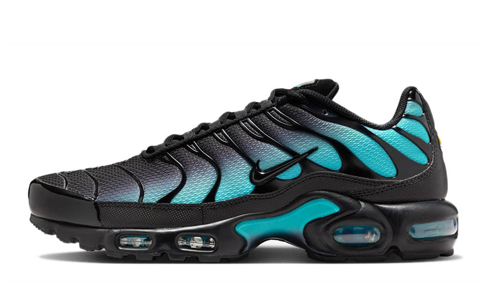 Nike TN Air Max Plus Dusty Cactus DM0032-016 The Sole Supplier