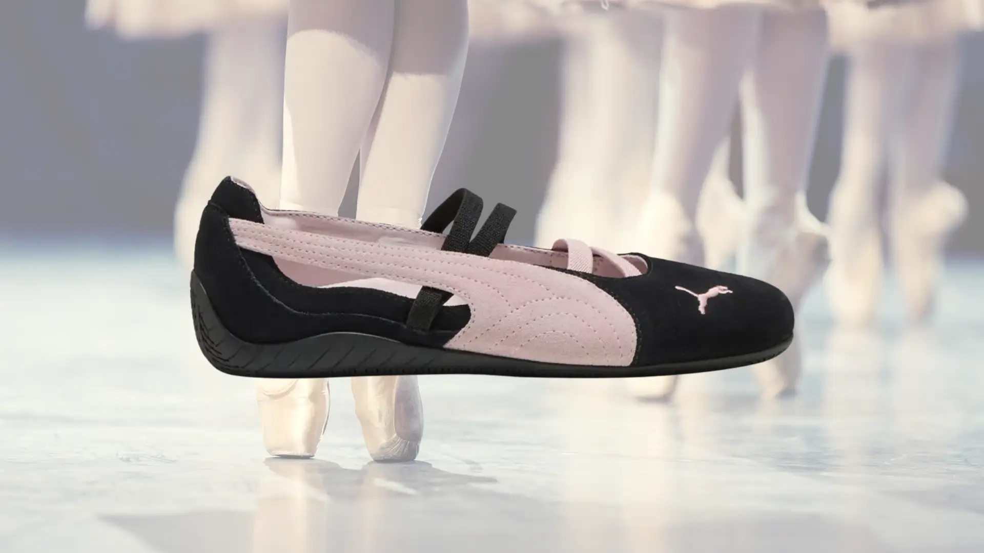 Puma cat sd discount