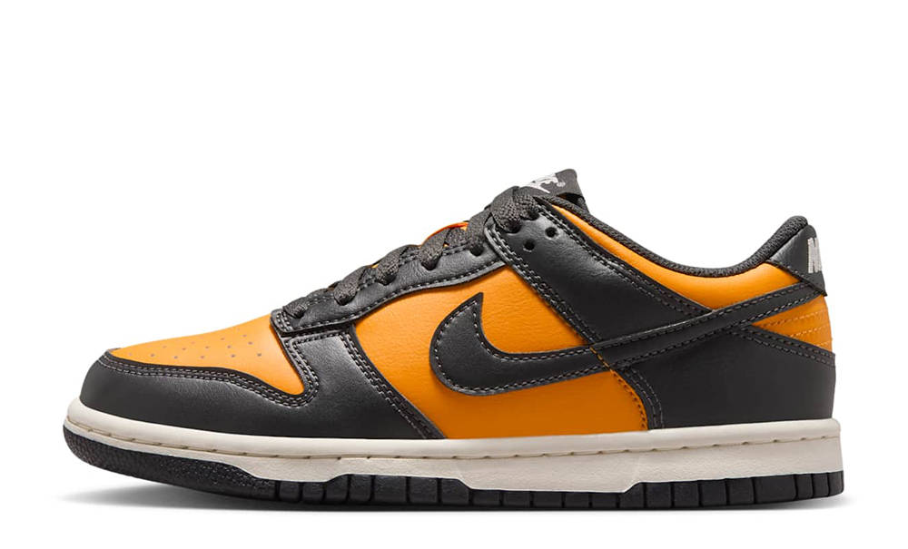 Nike Dunk Low GS Sundial FB9109-701