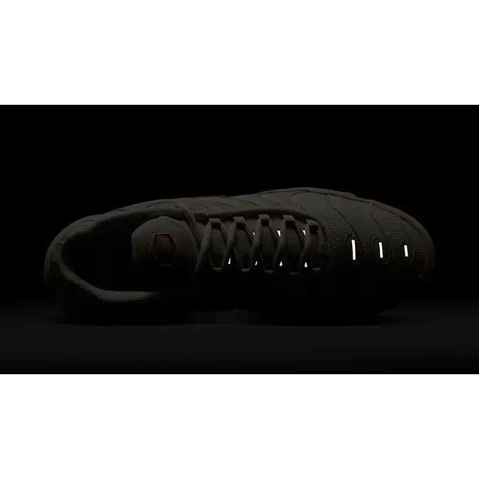 Nike TN Air Max Plus Phantom Safety Orange DM0032-019 in dark