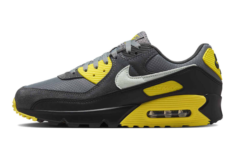 Nike Air Max 90 Smoke Grey Lightening DM0029-016