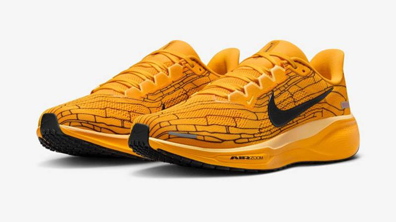 Nike Air Zoom Pegasus 41 Modern Mayfly IH3257-700 front
