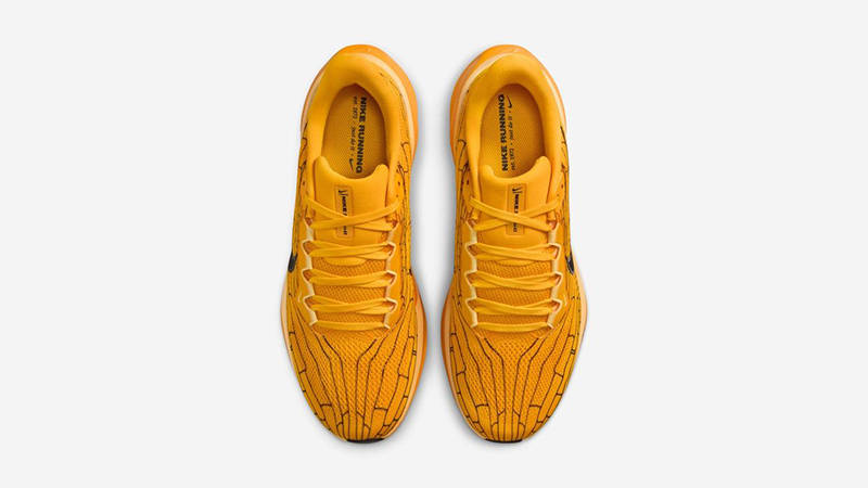 Nike Air Zoom Pegasus 41 Modern Mayfly IH3257-700 middle