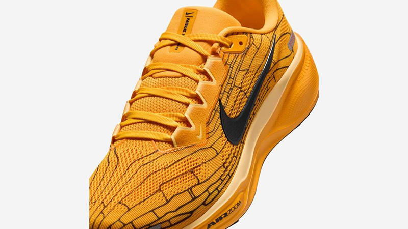Nike Air Zoom Pegasus 41 Modern Mayfly IH3257-700 side
