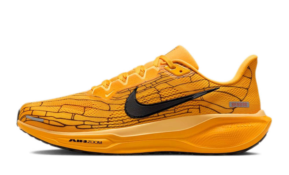 Nike Air Zoom Pegasus 41 Modern Mayfly IH3257-700