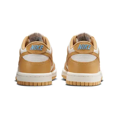 Nike Dunk Low GS Honeycomb FB9109-700 Back