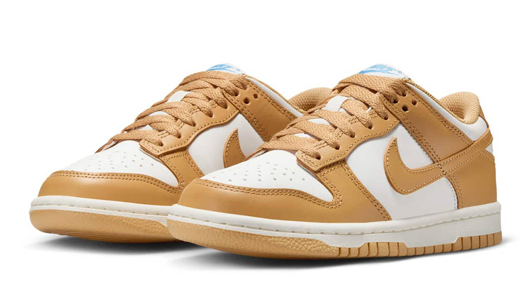Nike Dunk Low GS Honeycomb FB9109-700 Side