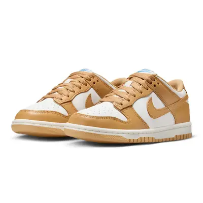 Nike Dunk Low GS Honeycomb FB9109-700 Side