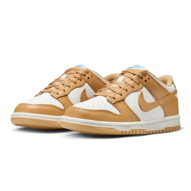 Nike Dunk Low GS Honeycomb FB9109-700 Side