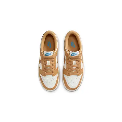 Nike Dunk Low GS Honeycomb FB9109-700 Top