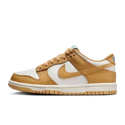 Nike Dunk Low GS Honeycomb FB9109-700