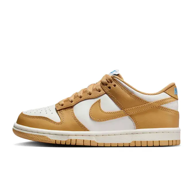 Nike Dunk Low GS Honeycomb FB9109-700