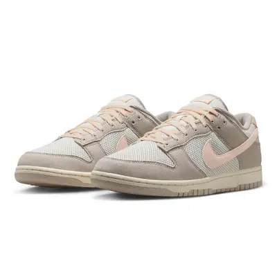 Nike Dunk Low Retro SE College Grey Light Bone HJ4329-002 Side