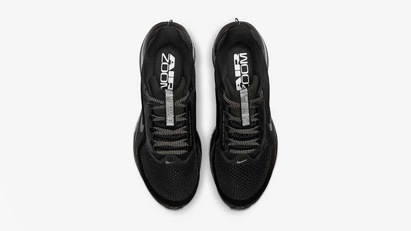Nike Pegasus Premium Black HQ2593-004 middle