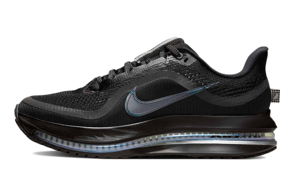 Nike Pegasus Premium Black HQ2593-004