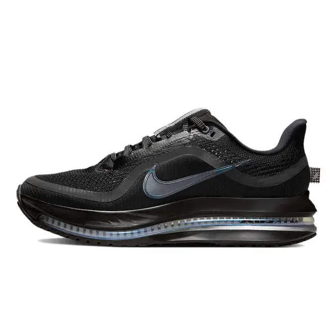 Nike Pegasus Premium Black HQ2593-004