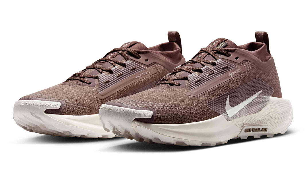 Nike Pegasus Trail 5 GORE-TEX Mink Brown Moon Particle HQ7494-200 Side