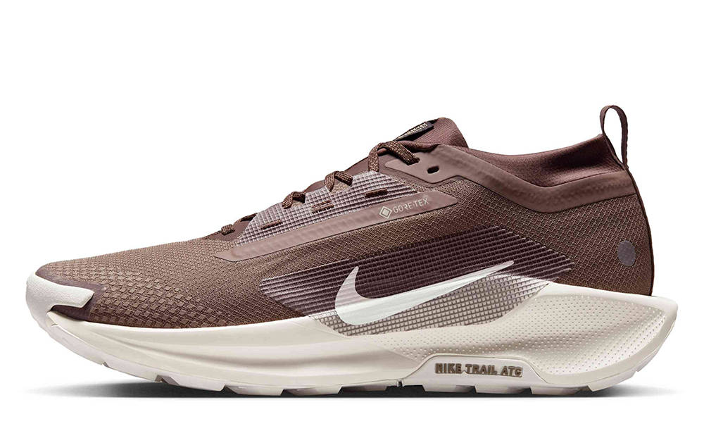 Nike Pegasus Trail 5 GORE-TEX Mink Brown Moon Particle HQ7494-200