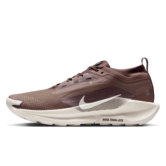 Nike Pegasus Trail 5 GORE-TEX Mink Brown Moon Particle HQ7494-200