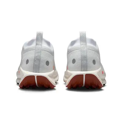 Nike Pegasus Trail 5 GORE-TEX Pure Platinum FQ0908-009 Back