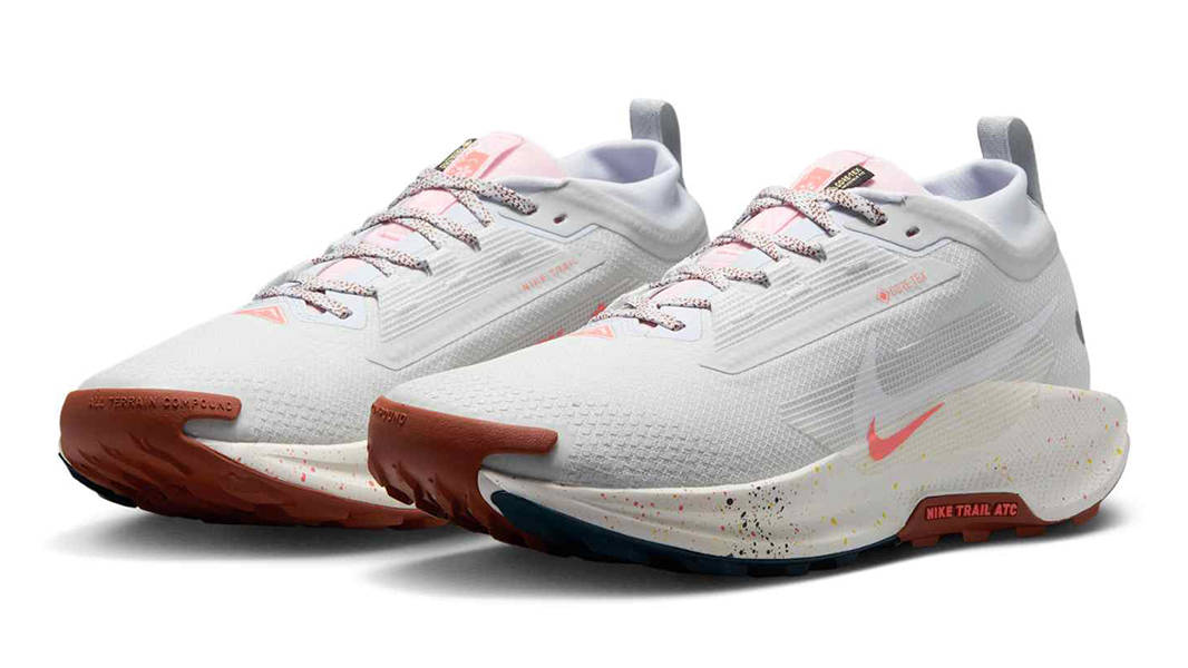 Nike Pegasus Trail 5 GORE-TEX Pure Platinum FQ0908-009 Side