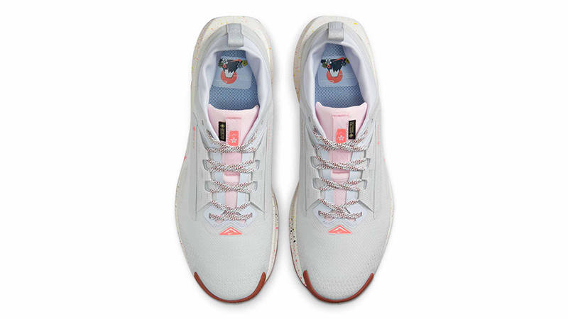 Nike Pegasus Trail 5 GORE-TEX Pure Platinum FQ0908-009 Top