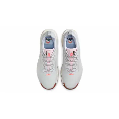 Nike Pegasus Trail 5 GORE-TEX Pure Platinum FQ0908-009 Top