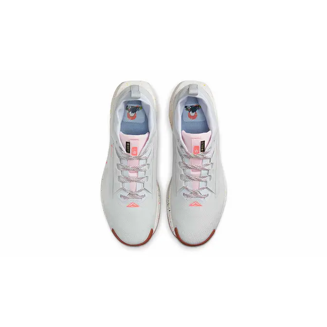 Nike Pegasus Trail 5 GORE-TEX Pure Platinum FQ0908-009 Top