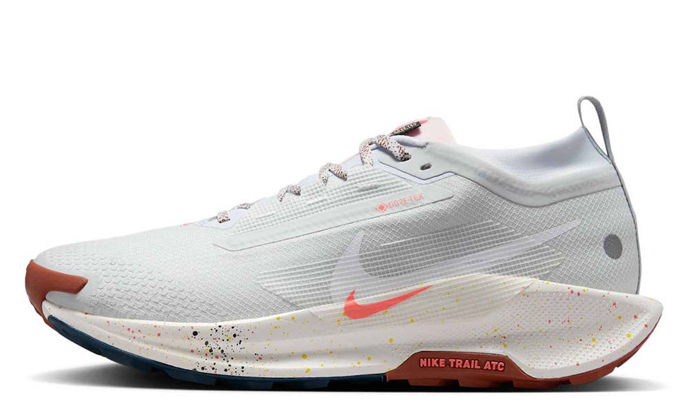 Nike Pegasus Trail 5 GORE-TEX Pure Platinum FQ0908-009