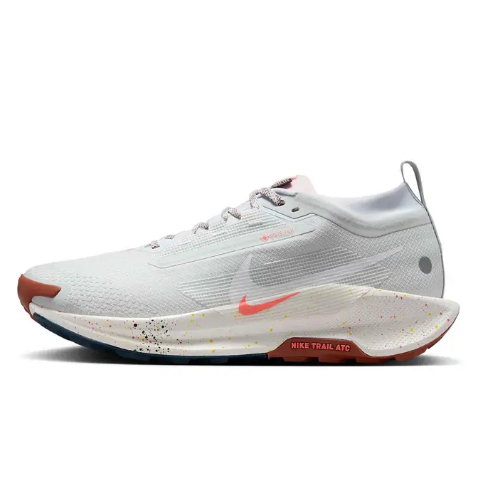 Nike Pegasus Trail 5 GORE-TEX Pure Platinum FQ0908-009