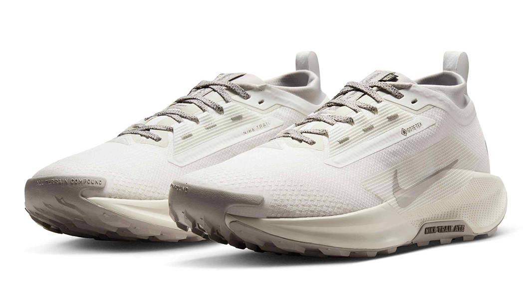 Nike Pegasus Trail 5 GORE-TEX SP White Light Bone HQ7494-100 Side