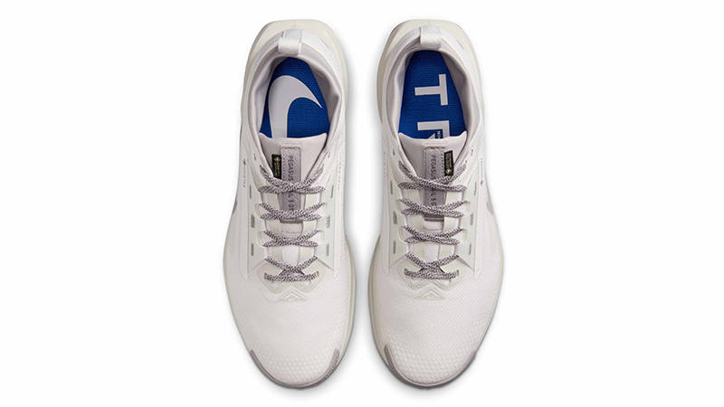 Nike Pegasus Trail 5 GORE-TEX SP White Light Bone HQ7494-100 Top