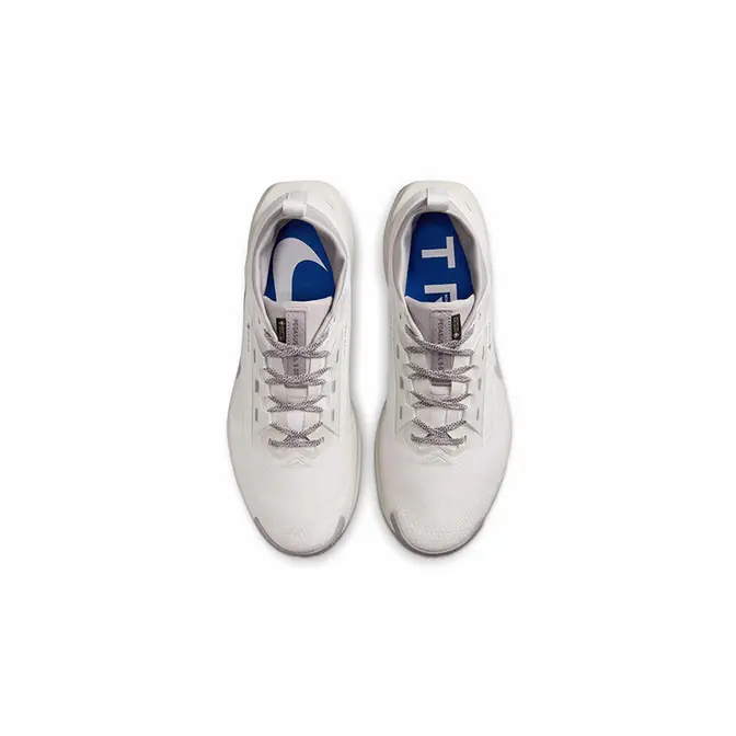 Nike Pegasus Trail 5 GORE-TEX SP White Light Bone HQ7494-100 Top