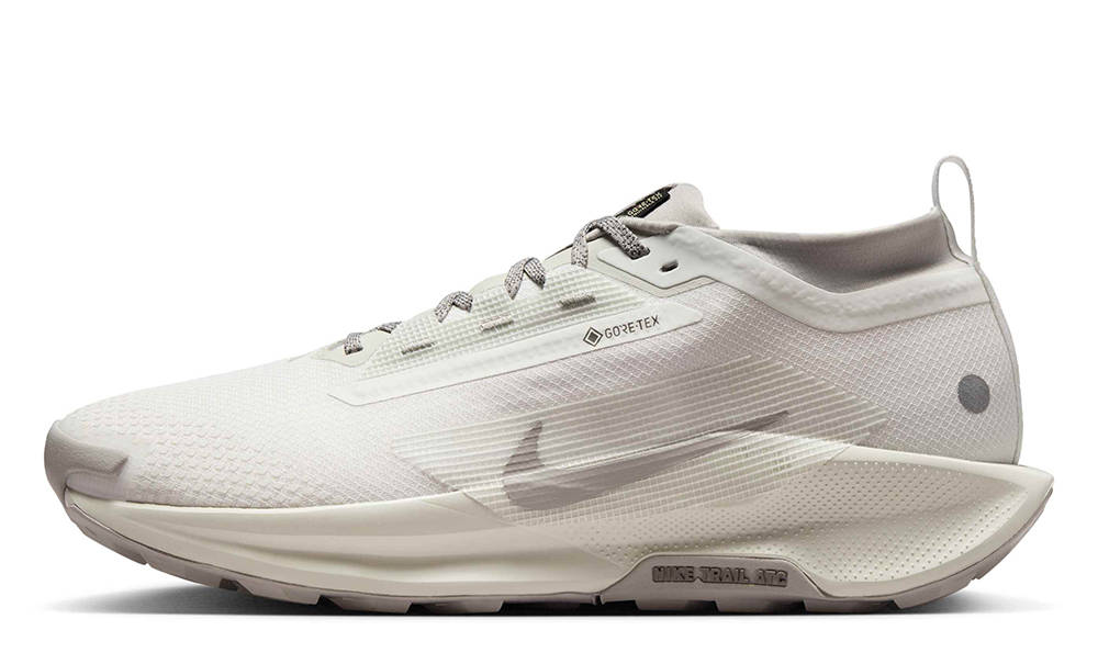 Nike Pegasus Trail 5 GORE-TEX SP White Light Bone HQ7494-100