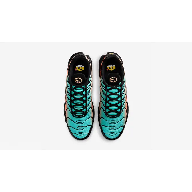 Nike TN Air Max Plus South Beach DM0032-022 middle