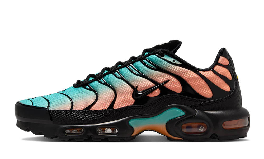 Nike TN Air Max Plus South Beach DM0032-022