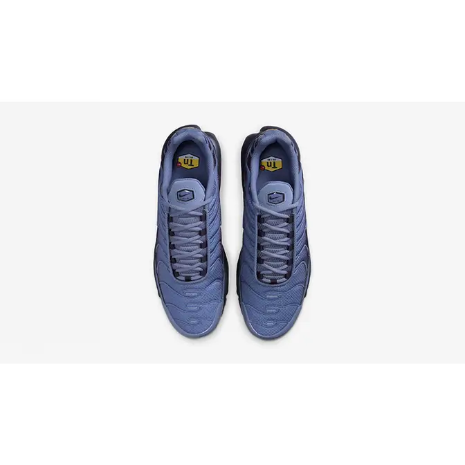 Nike TN Air Max Plus World Indigo DM0032-404 middle