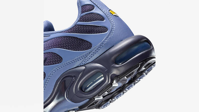 Nike TN Air Max Plus World Indigo DM0032-404 side