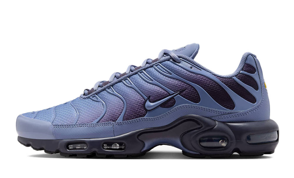 Nike TN Air Max Plus World Indigo DM0032-404
