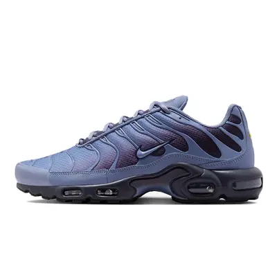 Nike TN Air Max Plus World Indigo DM0032-404