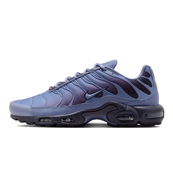 Nike TN Air Max Plus World Indigo DM0032-404