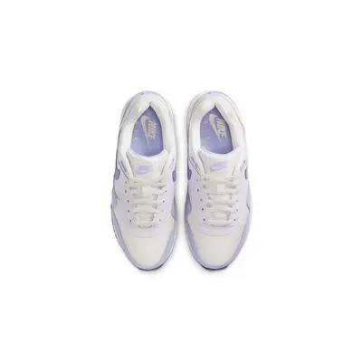Nike Air Max 1 GS Platinum Tint Barely Grape DZ3307-011 Top