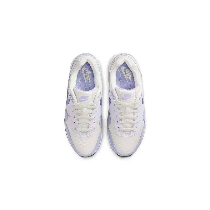 Nike Air Max 1 GS Platinum Tint Barely Grape DZ3307-011 Top